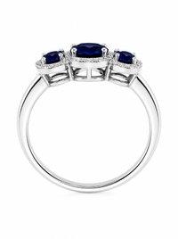 Royal Sapphire - Vista 4