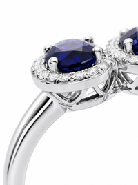 Royal Sapphire - Vista 6