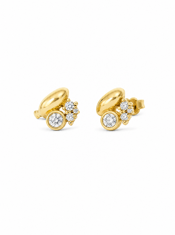 Aretes Organique