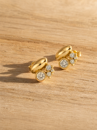 Aretes Organique - Vista 5